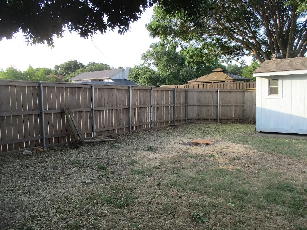 Cleared yard after professional tree removal in Conneaut